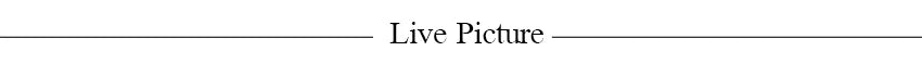 2026 Floral Embroidery Maxi Dress for Women Summer Party Prom Gowns Sexy Backless Suspender Dresses French Style Evening Dress