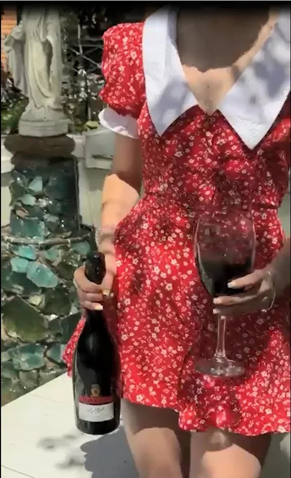 V-neck Peter Pan Collar Red Floral Print Puff Sleeve A-line Mini Dress High Waist Women's Casual Dresses 2026 Lady Date Vestidos